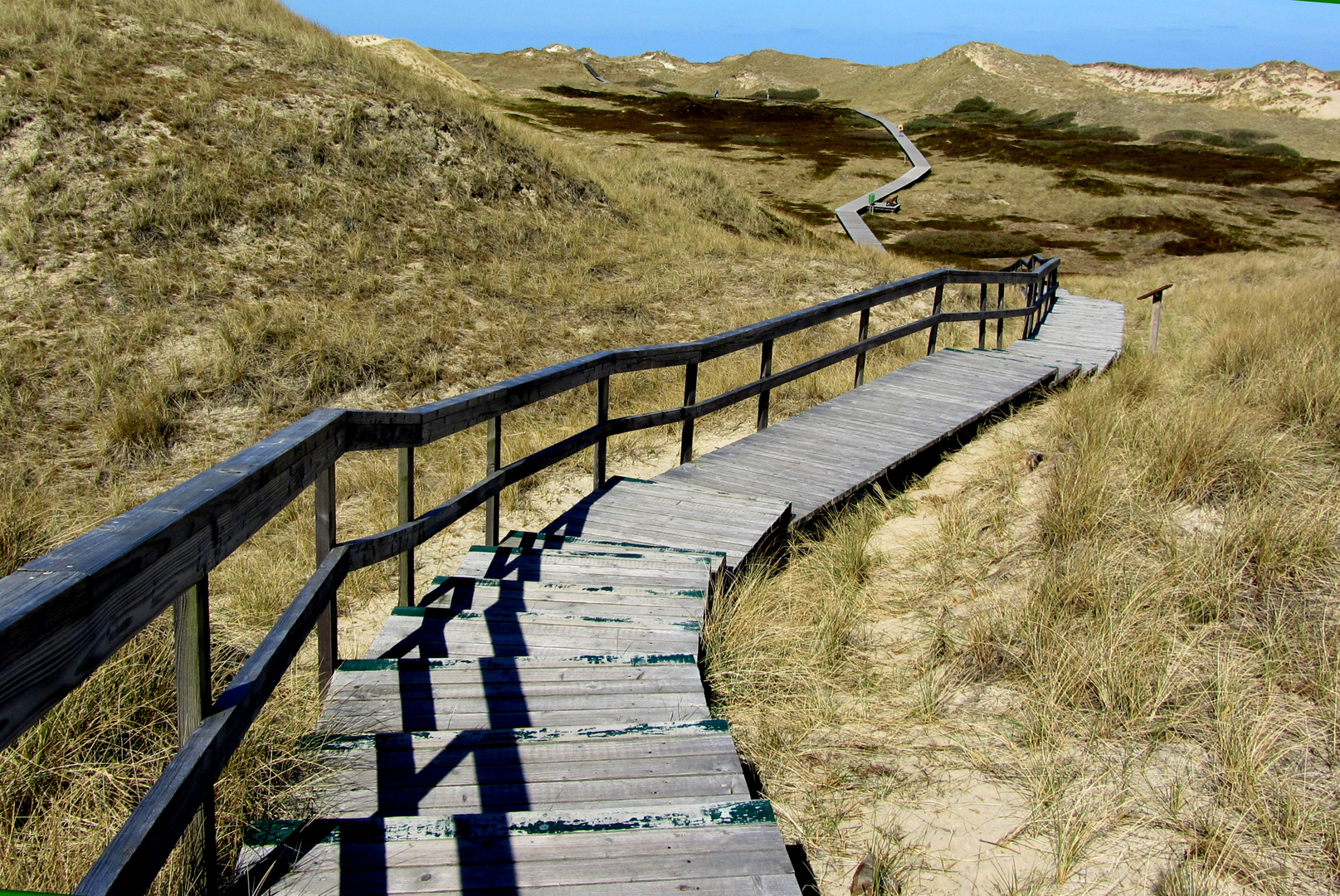 Amrum ins Unendliche