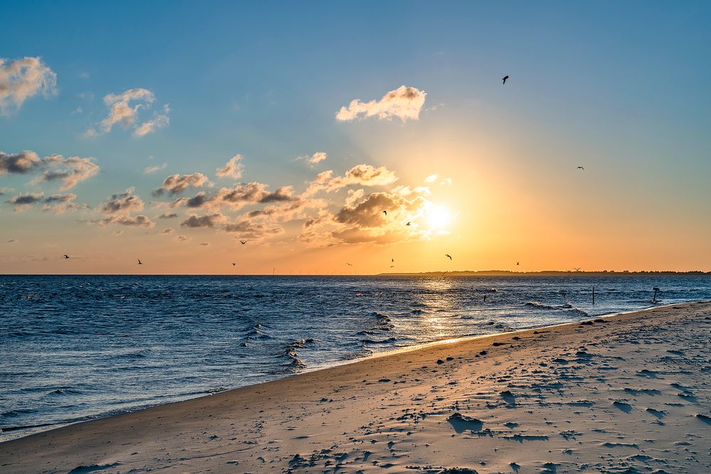 Amrum - Jordsand