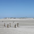 Amrum (Kniepsand) Sommer 2012