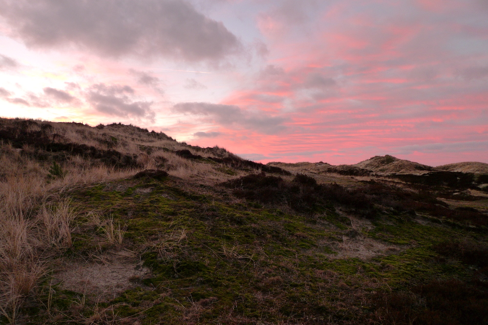 Amrum · kurz vor Acht