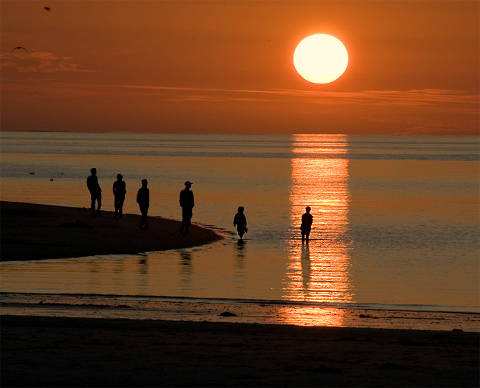 amrum leben