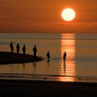 amrum leben