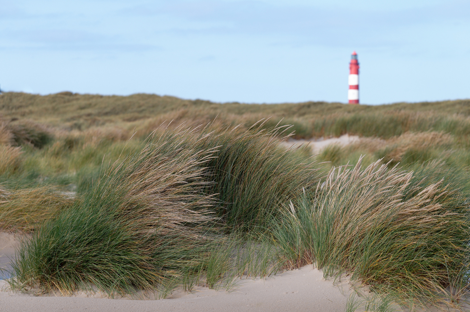 Amrum * Lichtturm