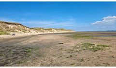 Amrum LXXXI