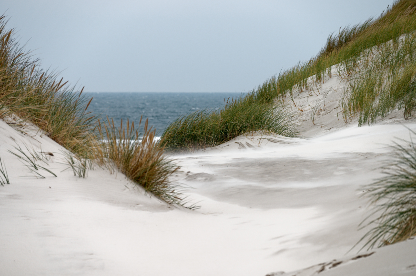 Amrum * Meeresweg