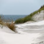 Amrum * Meeresweg