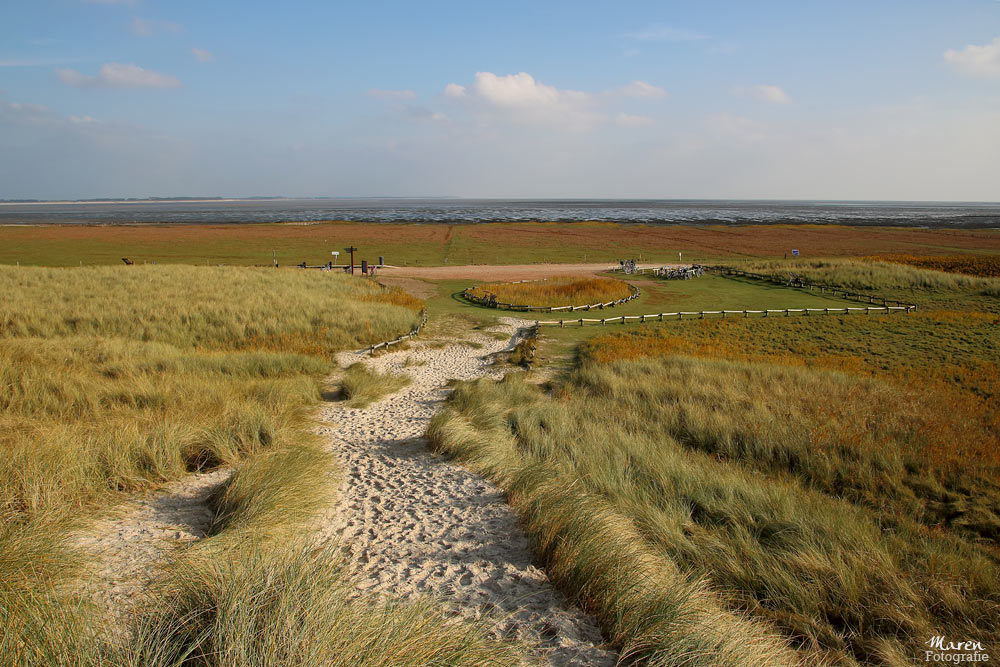 Amrum memory