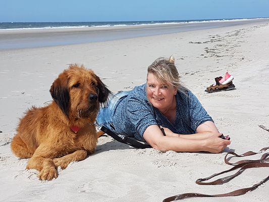 Amrum Mit Hund Erfahrungen Amrum Mit Hund Erfahrungen