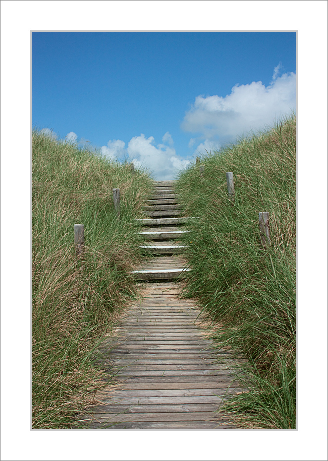 Amrum - Natur pur