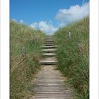 Amrum - Natur pur