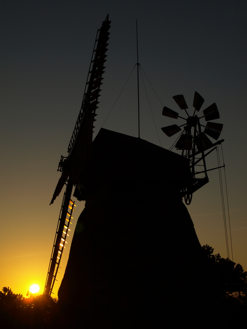 Amrum, Nebel, Mühle, Sonnenaufgang