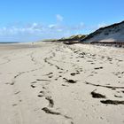 Amrum-Odde (1)