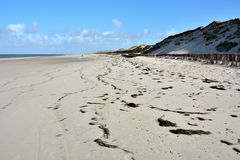 Amrum-Odde (1)