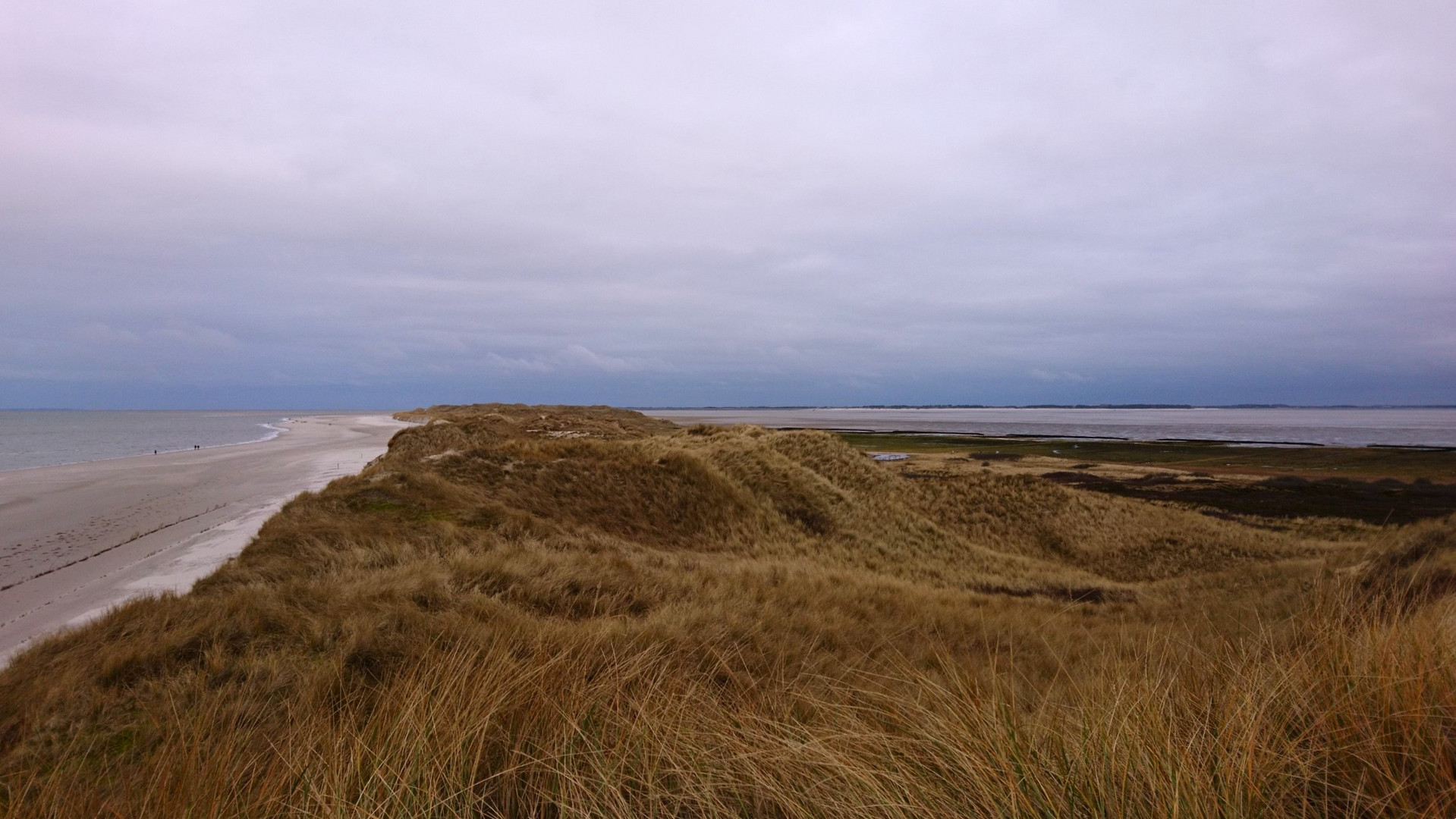 Amrum Odde