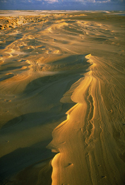 amrum oder kniepsand oder...