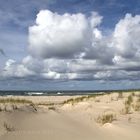 Amrum- pur