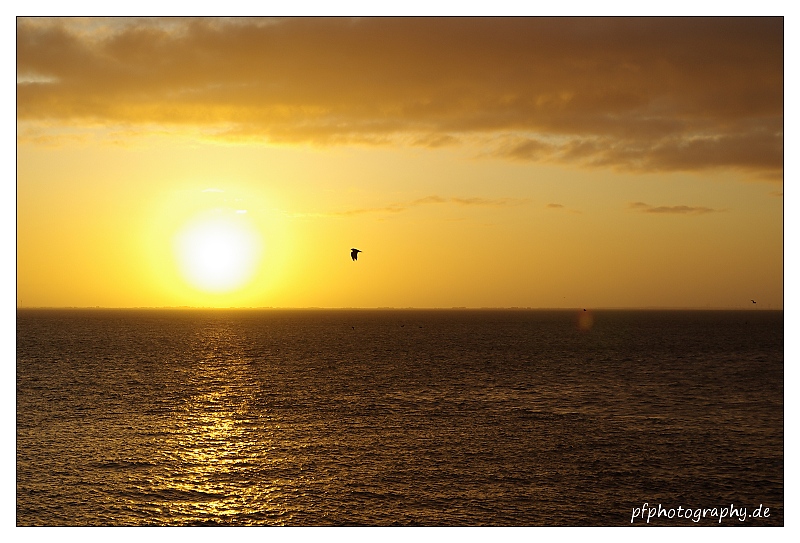 Amrum Serie 1 - 2009