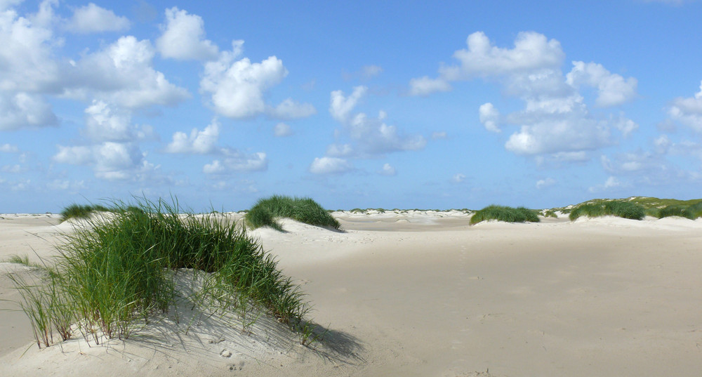 Amrum, Strand