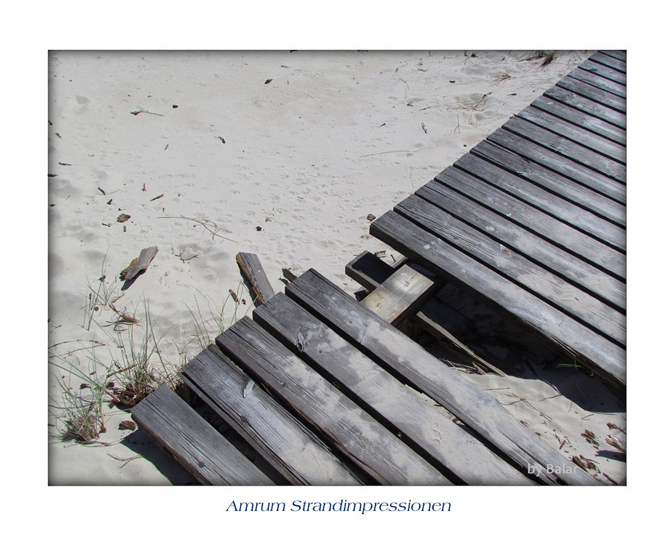 Amrum Strandimpressionen