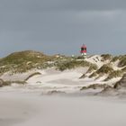 Amrum * Sturmstrand