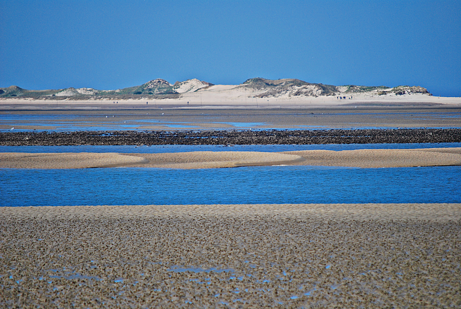 Amrum über's Wattenmeer...