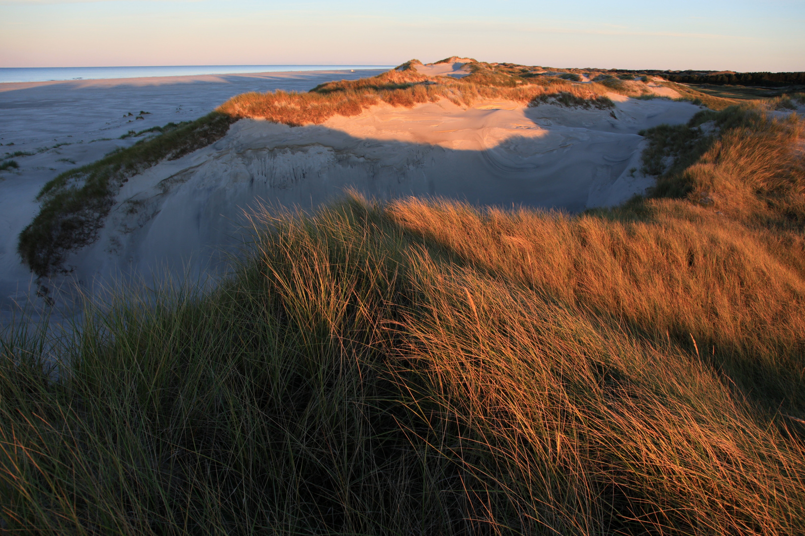 Amrum und Sylt 2