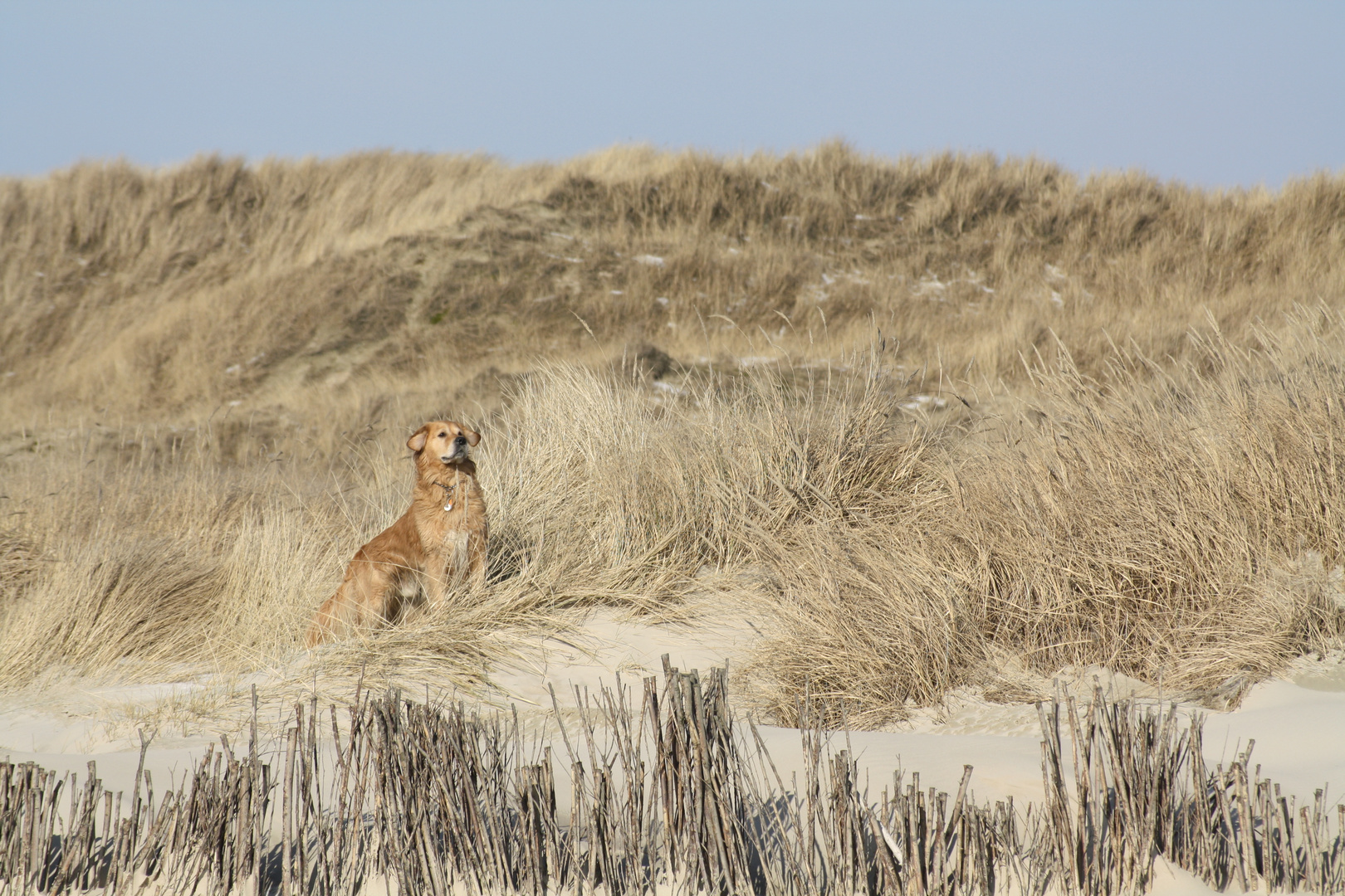 Amrum-Urlaub