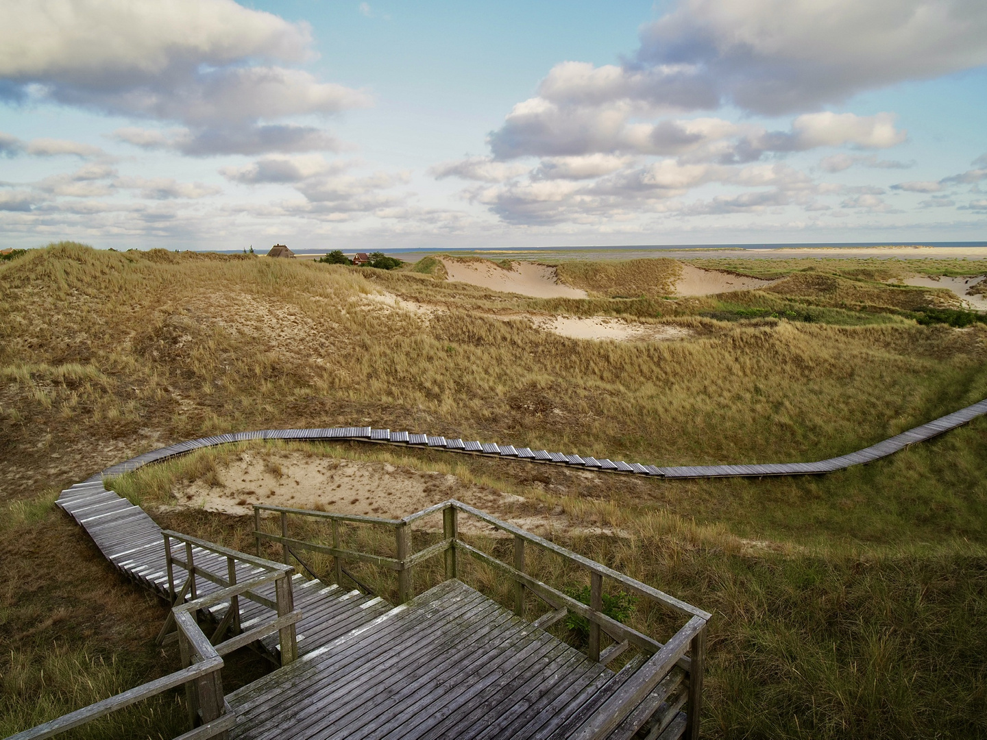 Amrum V 