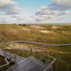 Amrum V 