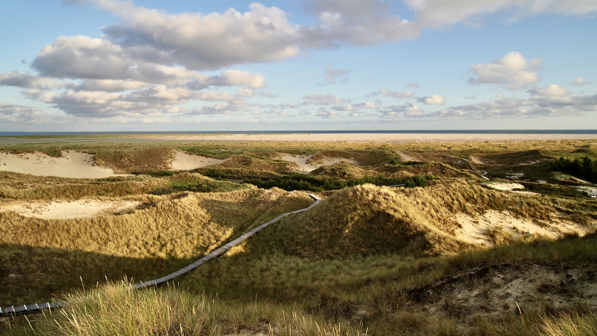 Amrum VI