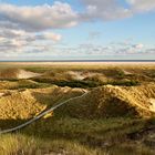 Amrum VI