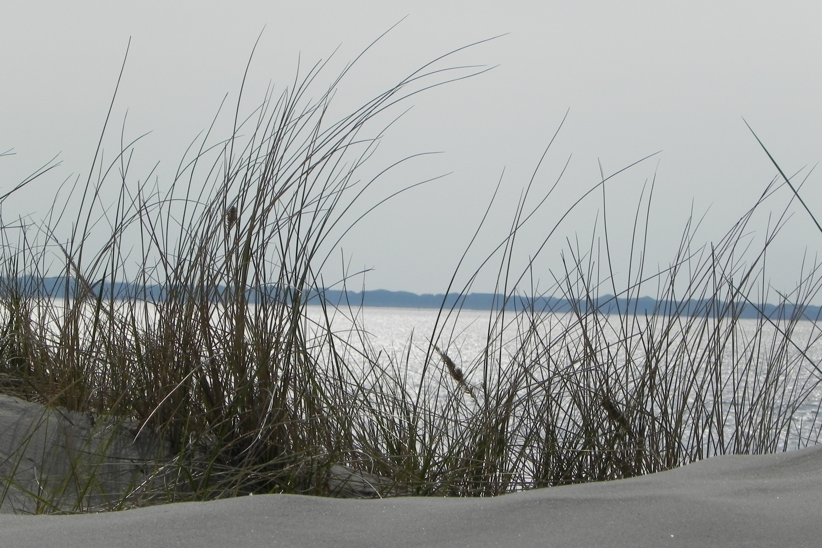 Amrum von Föhr aus