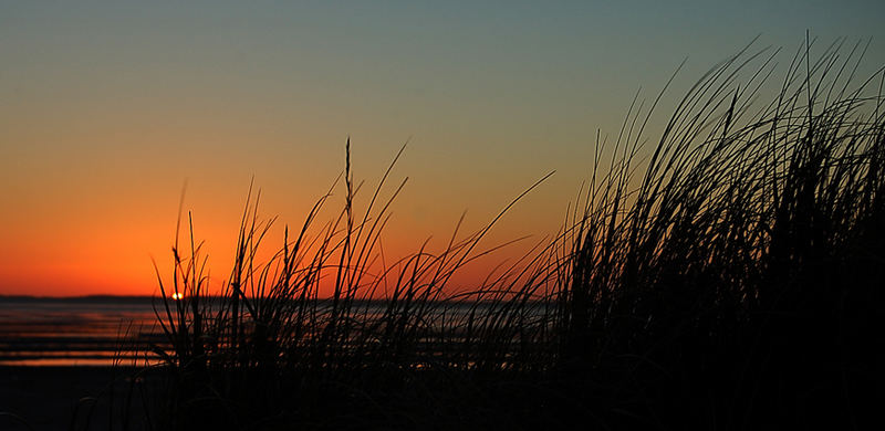 Amrum von Föhr aus gesehen