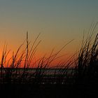 Amrum von Föhr aus gesehen