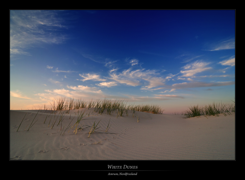 Amrum - White Dunes