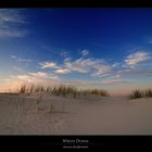 Amrum - White Dunes