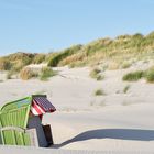 Amrum X