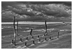 Amrum04d