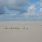 Amrum11