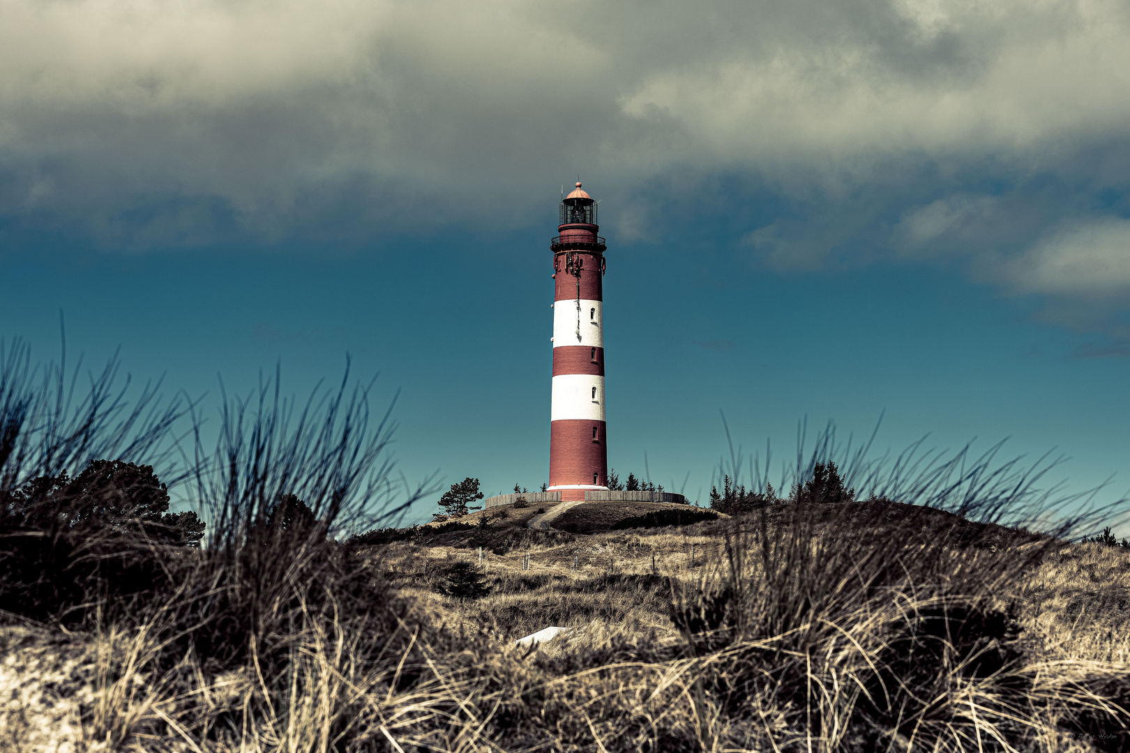 AMRUM_2023