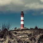 AMRUM_2023