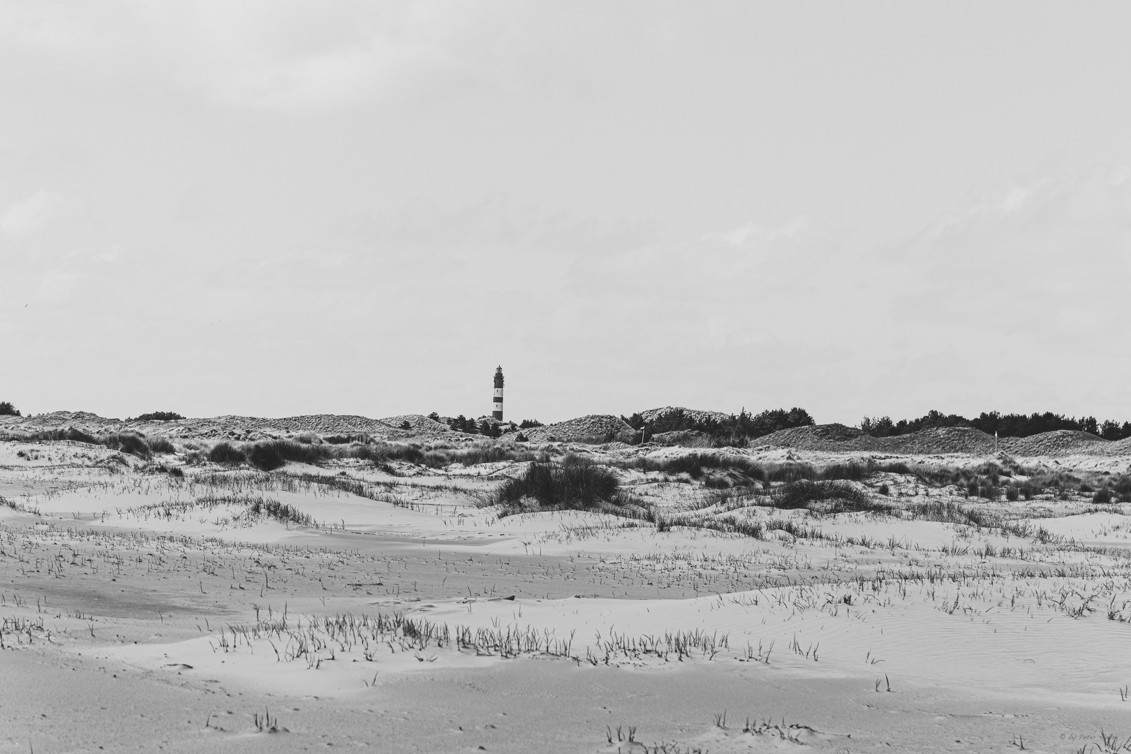 AMRUM_2023