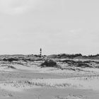 AMRUM_2023