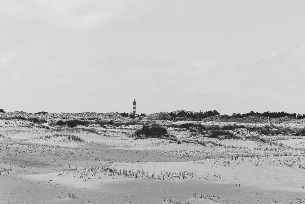 AMRUM_2023