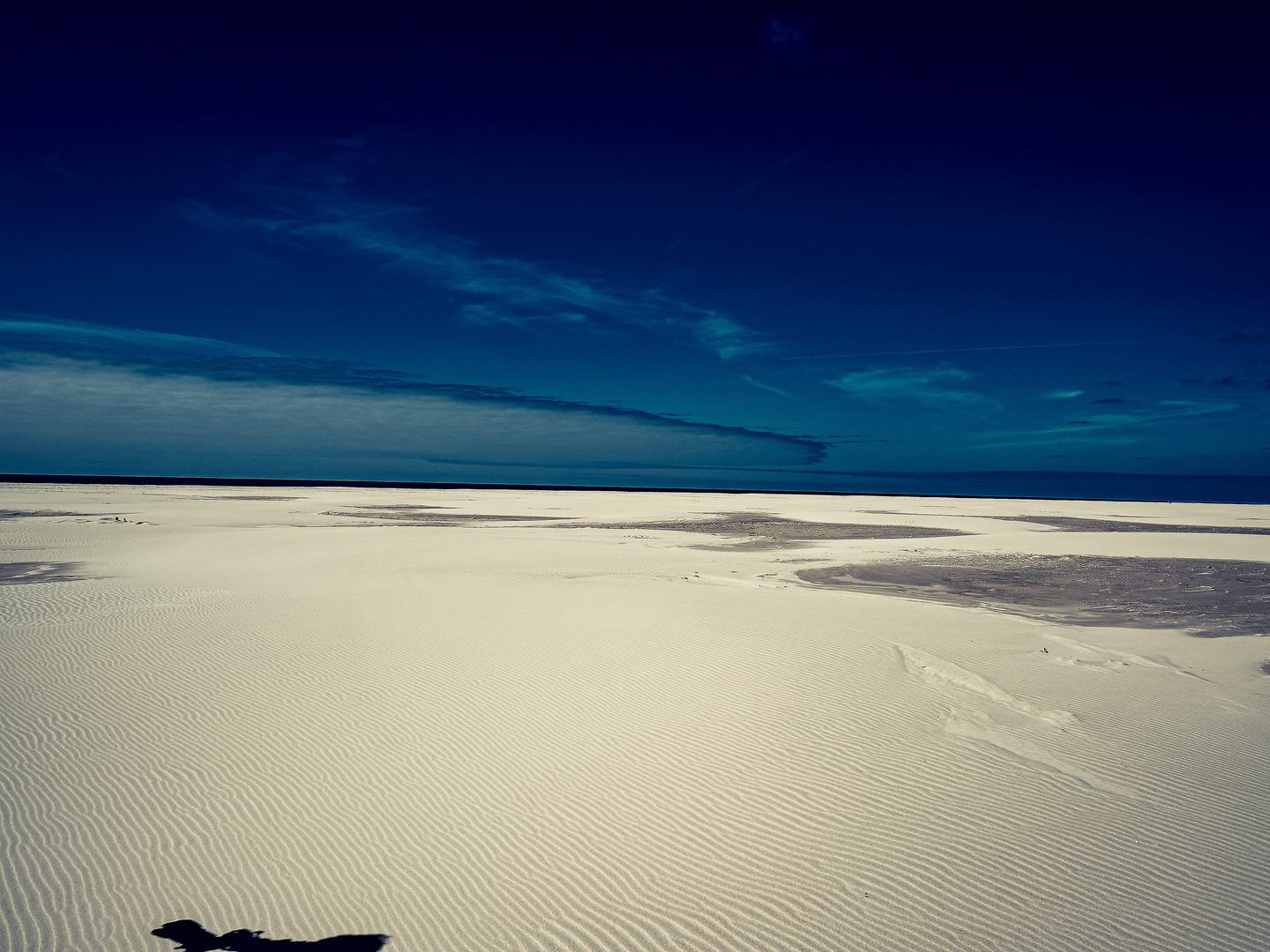 AMRUM_2023