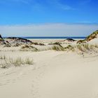 AMRUM_2023