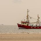 AMRUM_2023