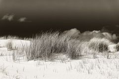 AMRUM_2023