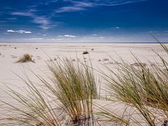 AMRUM_2023