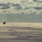 AMRUM_2023